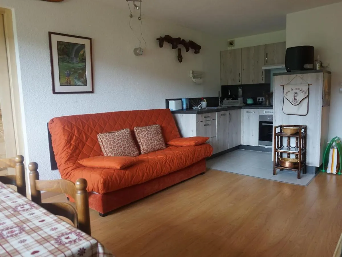 Appartement Renove Avec Balcon, Ideal Pour 4 Pers., A 1 Km Des Pistes De Ski - Autrans-Meaudre - Fr-1-737-6 France